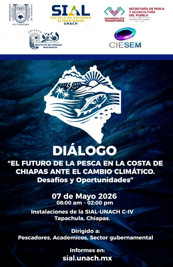 El Futuro De La Pesca En La Costa De Chiapas Ante El Cambio Climático